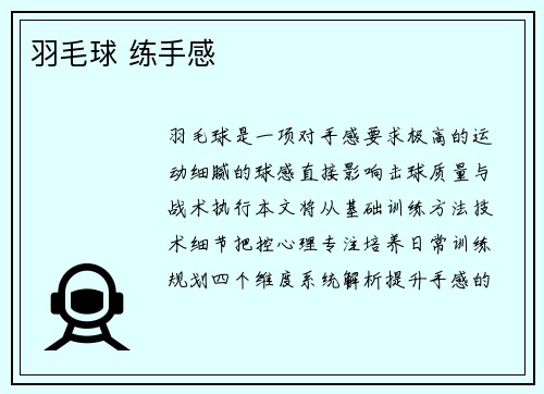 羽毛球 练手感