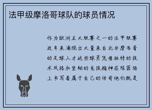法甲级摩洛哥球队的球员情况